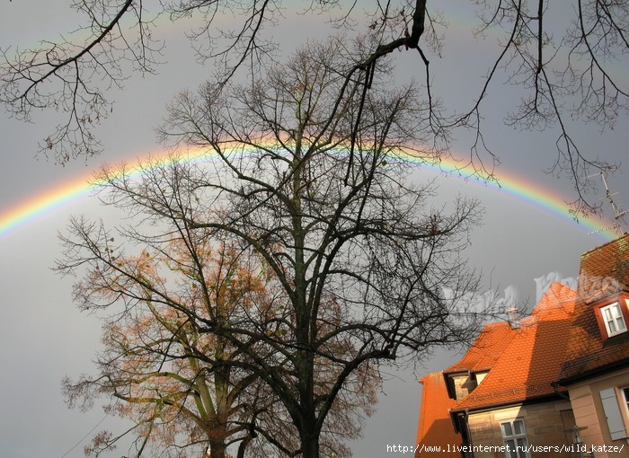 Regenbogen3wz (700x510, 353Kb)