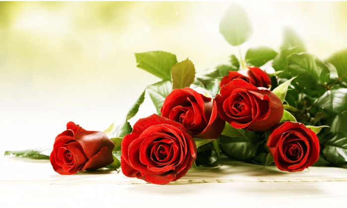 Red-Roses-with-Green-leaves-1320x792 (700x420, 270Kb)