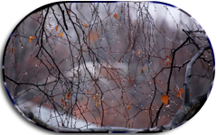  -5 (240x150, 78Kb)