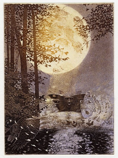 Edward_Okuń_-_Motyle_nocne (456x614, 414Kb)
