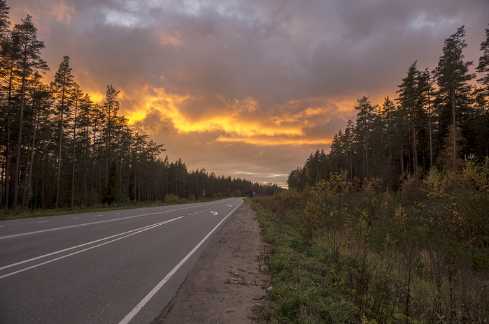 4213829__DSC6915 (700x464, 344Kb)
