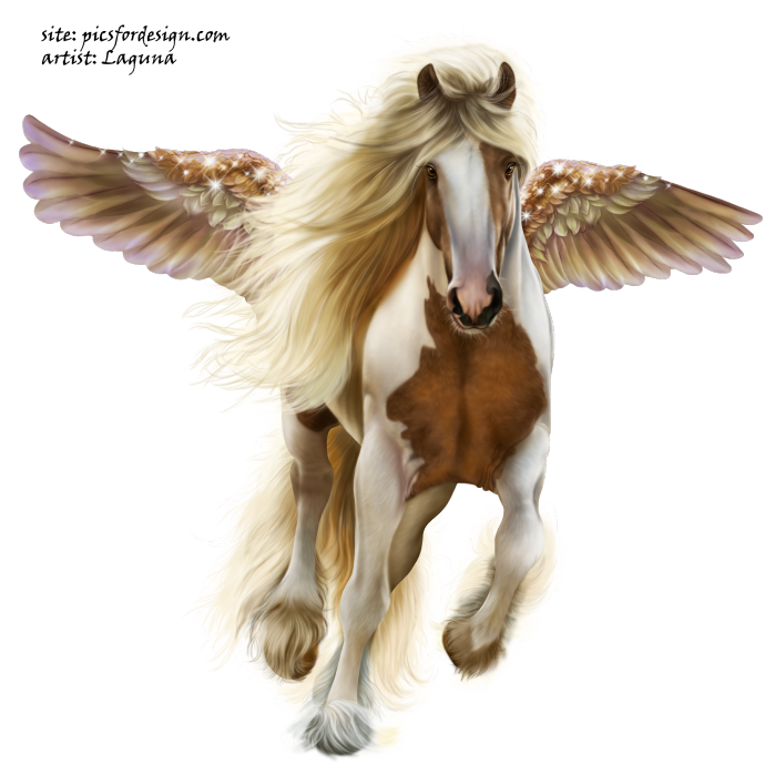 CowgirlAndPegasus20 (699x699, 629Kb)
