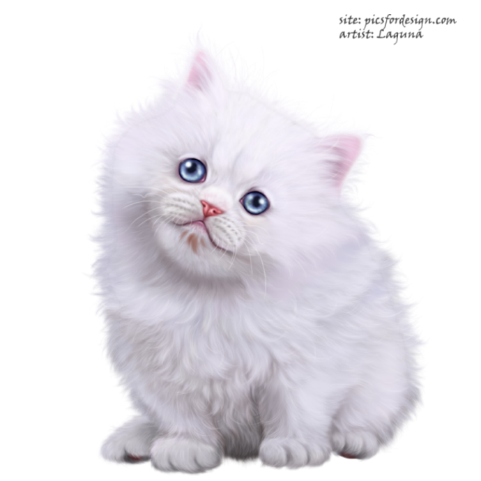 Prettyandherkitty8 (690x690, 510Kb)