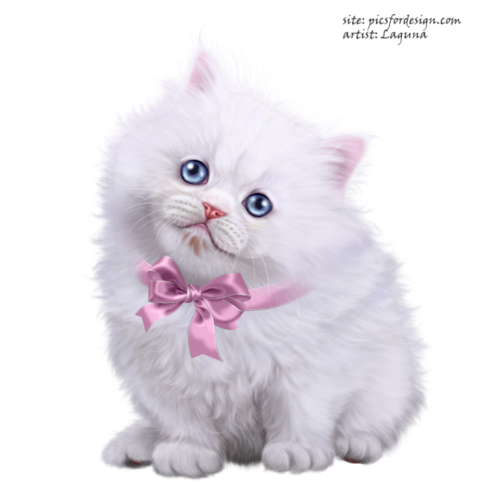 Prettyandherkitty9 (690x690, 524Kb)