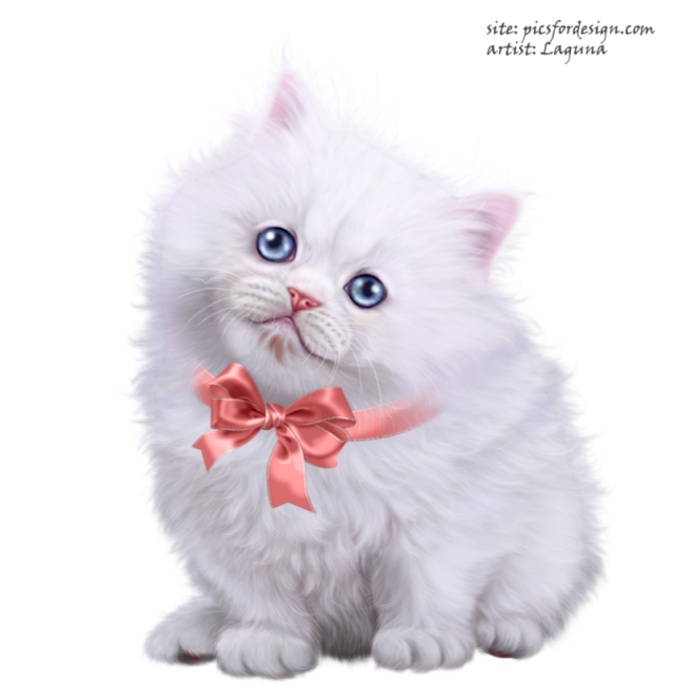 Prettyandherkitty11 (690x690, 526Kb)