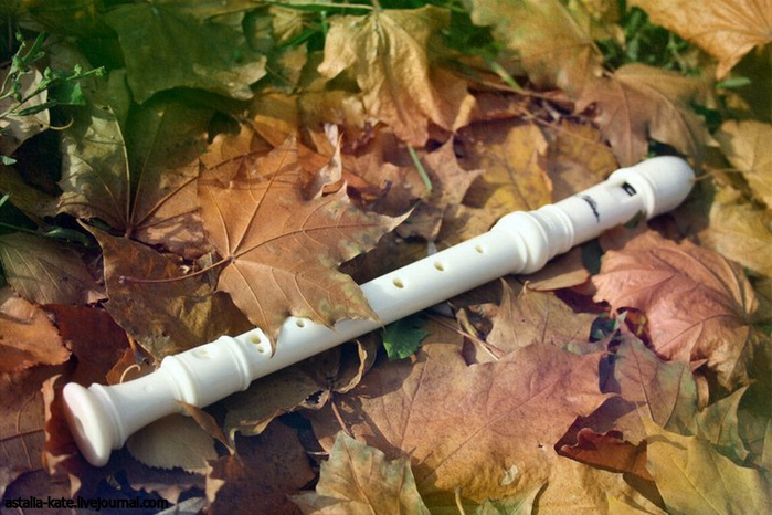 Флейта в цветах. Свирель блокфлейта. Флейта на природе. Блок флейта на природе. Флейта и осень.
