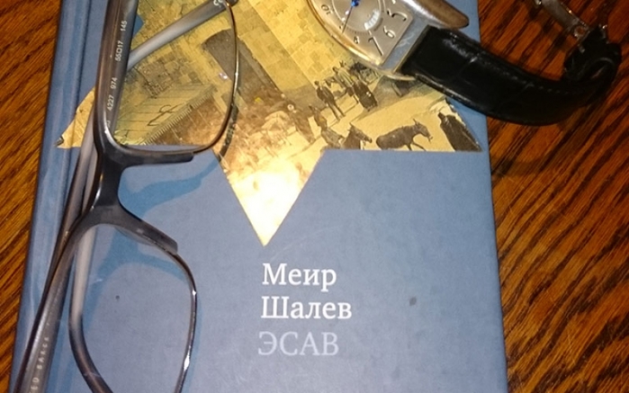 Книга Меира Шалева «Эсав»