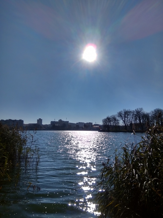 4052195_IMG_20171105_115011_HDR (525x700, 230Kb)
