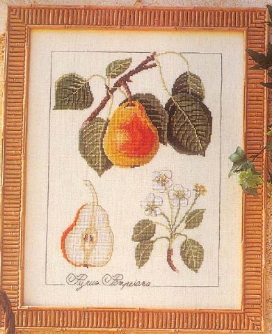 Botanical pear (391x480, 97Kb)