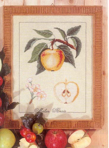Botanical apple (368x500, 51Kb)