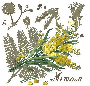 De_fil_en_Aiguille_Botanika_mimoza (368x350, 39Kb)