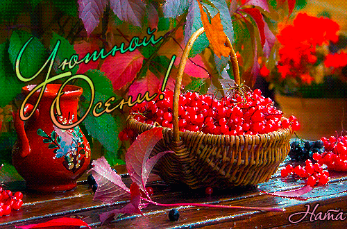 131485728_foto__1_0ppp (500x330, 772Kb)