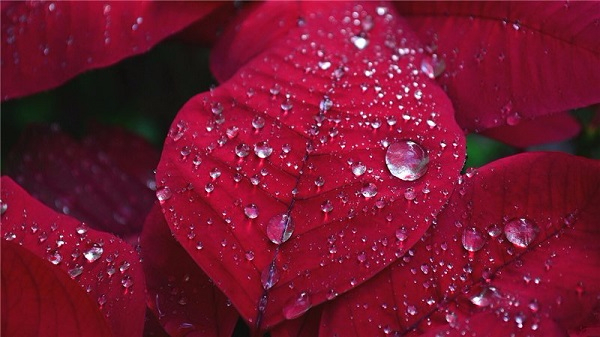542f756839aa (600x337, 227Kb)