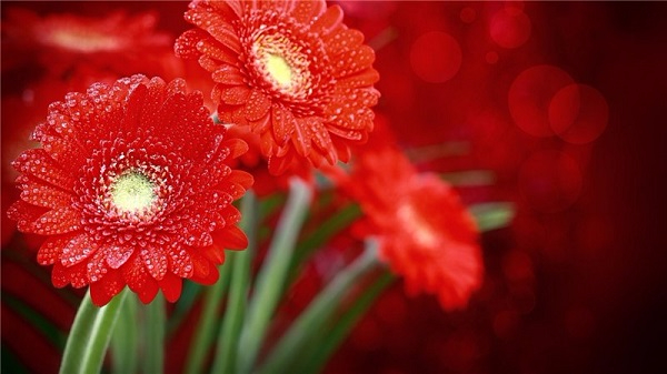 fec198b4f8cf (600x337, 208Kb)