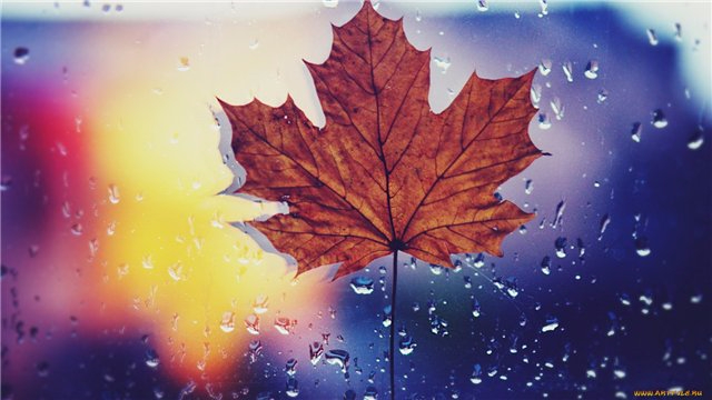 e550e8b8cbc0 (640x360, 210Kb)