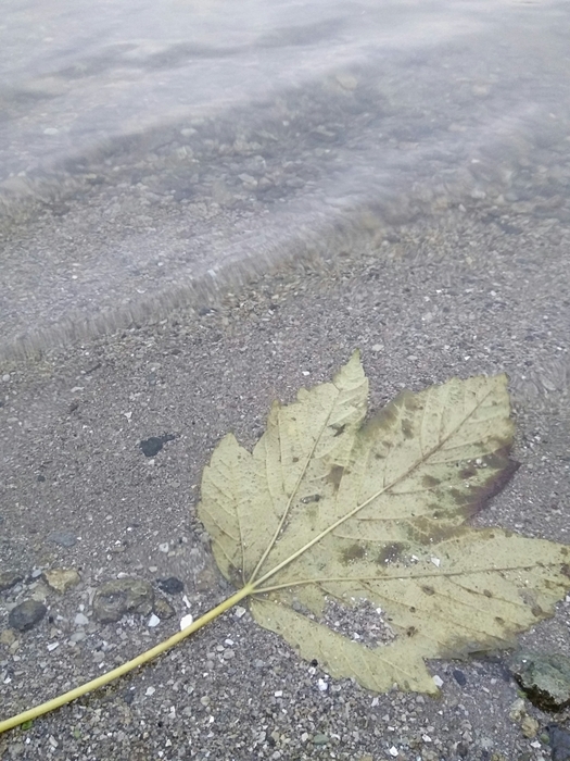 4052195_IMG_20171113_175119 (525x700, 285Kb)