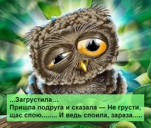 image (3) (621x529, 135Kb)