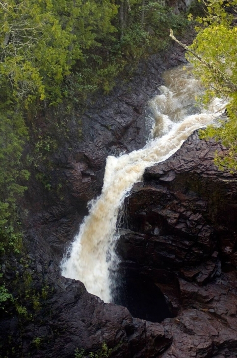 4809770_g63_1_ (465x700, 264Kb)