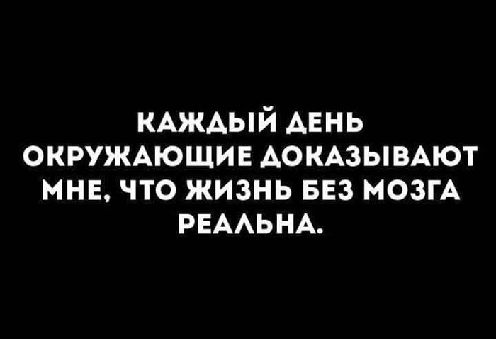 Окружающее доказательство. Каждый день окружающие доказывают мне что жизнь без мозга реальна. Каждый день окружающие доказывают что жизнь без мозгов реальна. Каждый день окружающим доказываем.