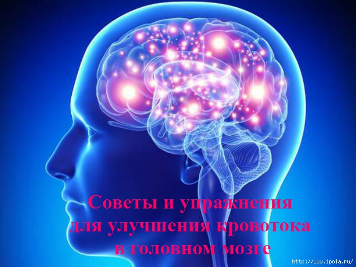 alt="Советы и упражнения для улучшения кровотока в головном мозге"/2835299_Soveti_i_yprajneniya_dlya_ylychsheniya_krovotoka_v_golovnom_mozge (700x525, 229Kb)