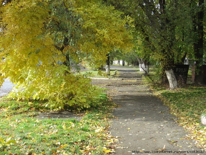 IMG_2748 (700x525, 404Kb)