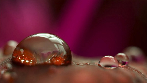 day_-1024x576-MM-90 (600x337, 124Kb)
