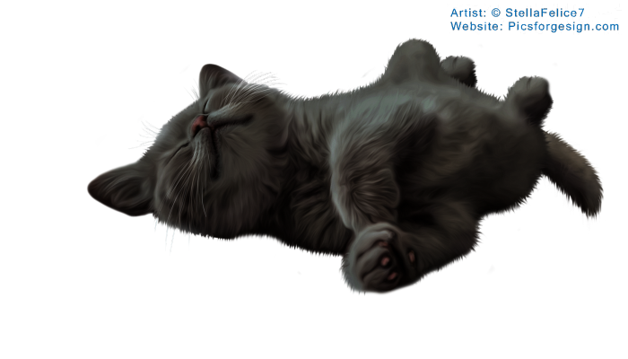 Sleepingkitten2 (700x400, 214Kb)