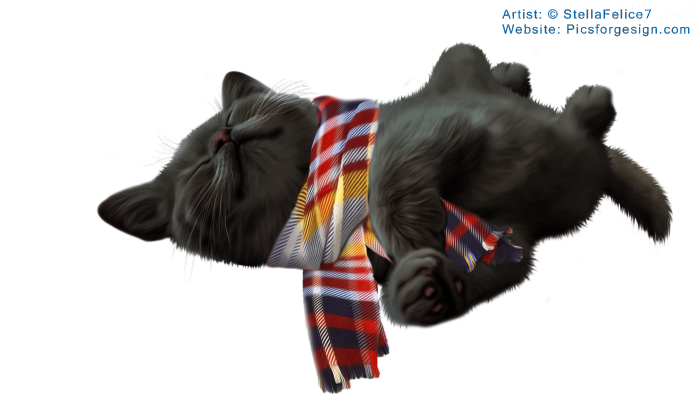 Sleepingkitten8 (700x400, 275Kb)