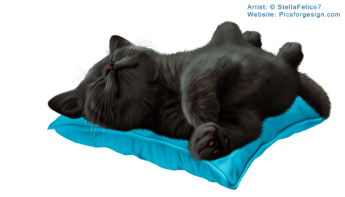 Sleepingkitten10 (700x400, 253Kb)