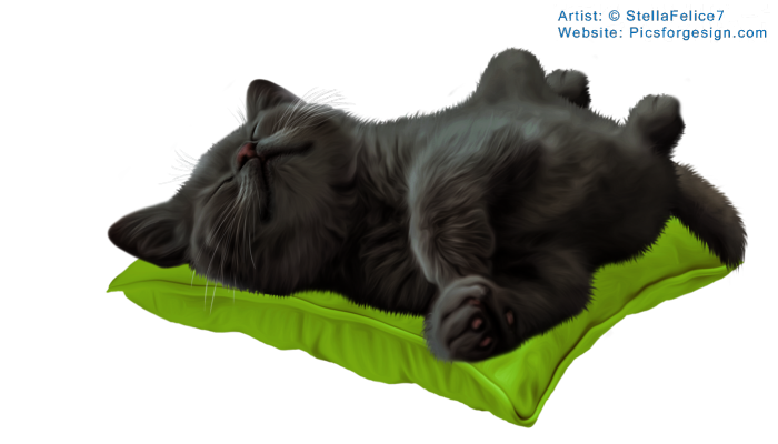Sleepingkitten12 (700x400, 251Kb)