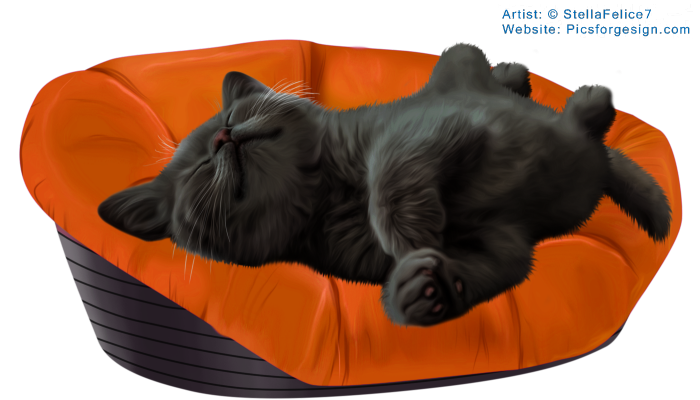 Sleepingkitten14 (700x400, 368Kb)