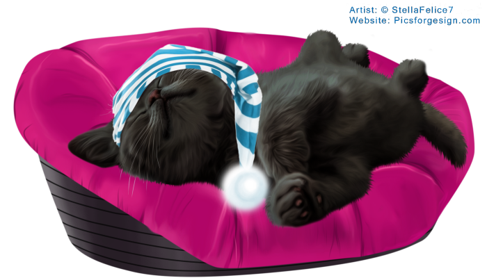 Sleepingkitten16 (700x400, 380Kb)
