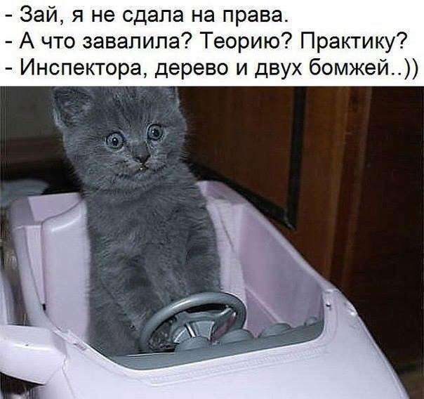 http://img1.liveinternet.ru/images/attach/d/0/138/638/138638439_23622489_2043725702536006_6721358799204510188_n.jpg