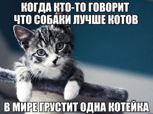 http://img1.liveinternet.ru/images/attach/d/0/138/638/138638453_23472706_2039190292989547_7108883779446249208_n.jpg