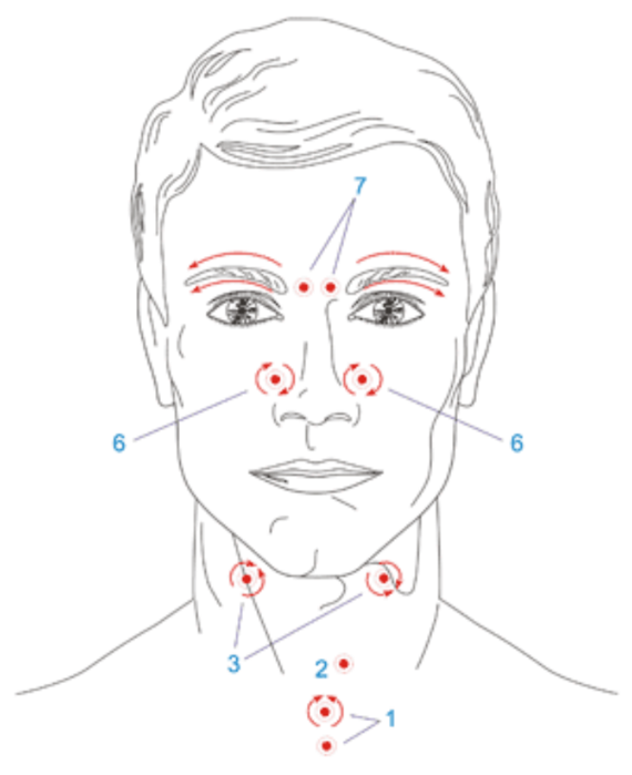 Массаж при орви. Точечный массаж лица при ОРВИ. Точечный массаж для профилактики простудных заболеваний. Биологически активные точки на лице. Точечный массаж при ОРВИ.
