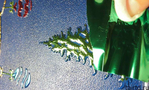 ������ new-year-box_81 (700x423, 294Kb)