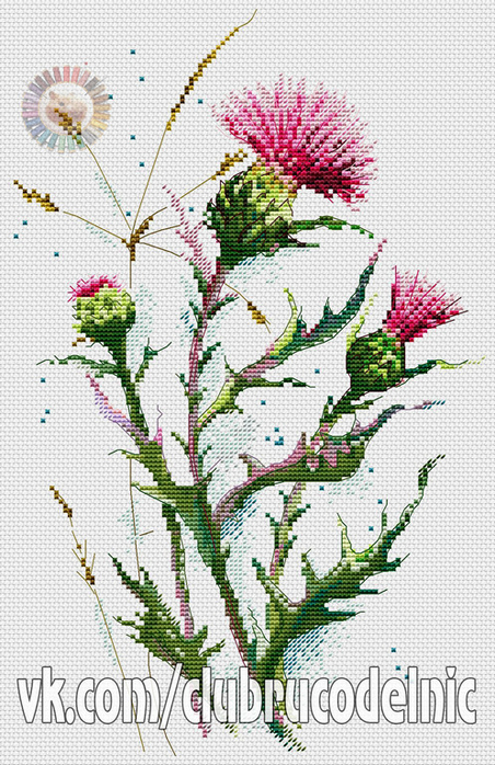 Thistle (452x700, 422Kb)