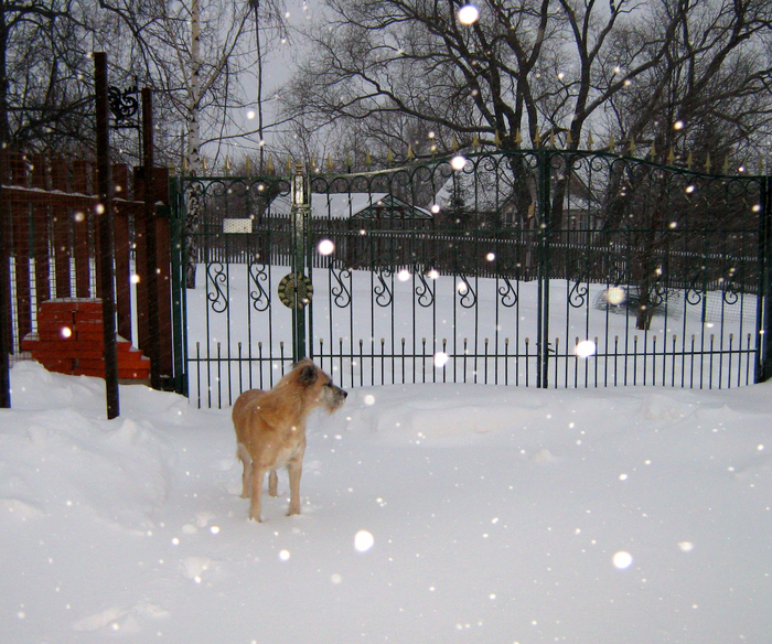 0_79e4a_c77caa5b_orig (700x584, 575Kb)