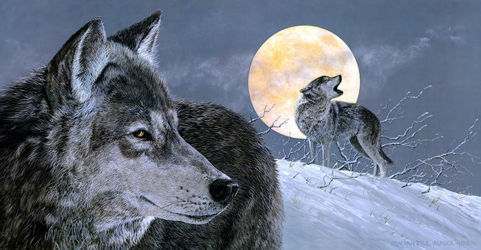 0_141ae0_d3a0a6db_orig (700x364, 319Kb)