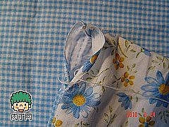 201101-4-E104919508-t (240x180, 55Kb)