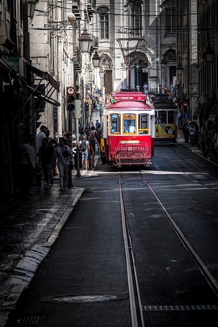 1512400606_tram-2989558_640 (427x640, 108Kb)
