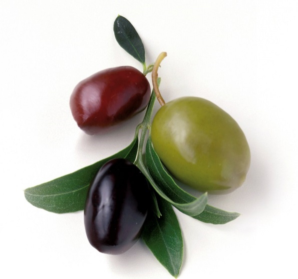 olivki_istoriya_1 (1) (595x558, 54Kb)