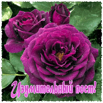 0_cf0d0_b5ef3b5_orig (350x350, 268Kb)