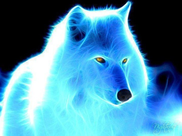 LOUP (600x448, 189Kb)