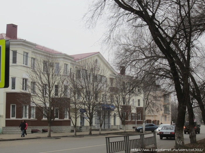 IMG_2915 (700x525, 281Kb)