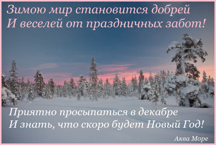 Декабрь станет. Зимою мир становится добрей. Зимой мир становится добрее. Зимою мир становится добрей и веселей от праздничных забот. Зимою мир становится добрей и веселей от праздничных забот Автор.