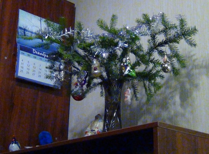 DSC07230 (700x517, 78Kb)