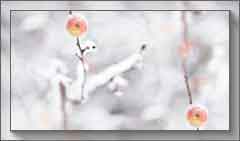images-(2) (240x141, 6Kb)