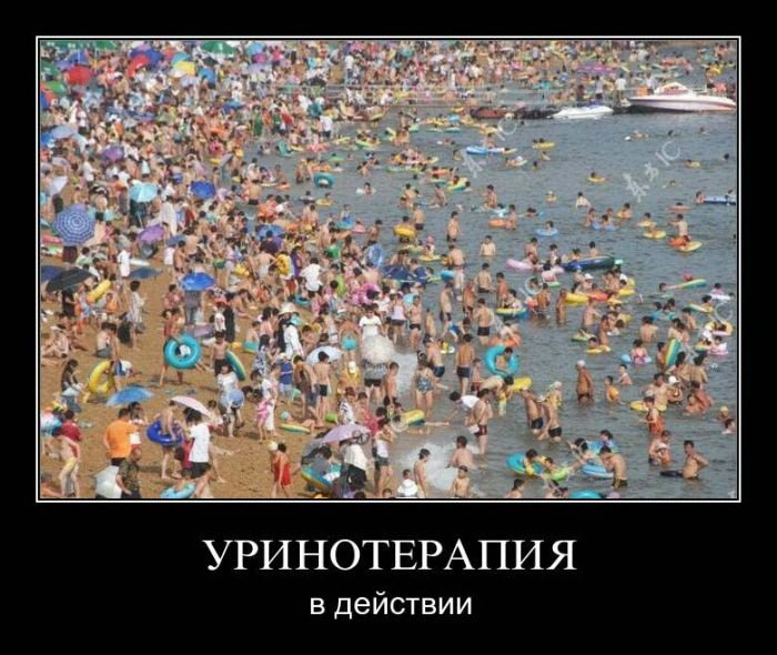 Краснодар смешные картинки