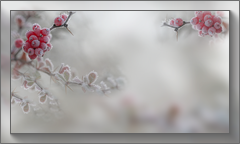  -1 (240x144, 40Kb)